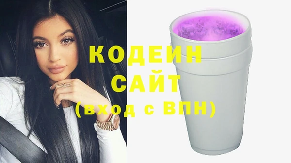 таблы Бородино
