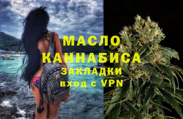 таблы Бородино