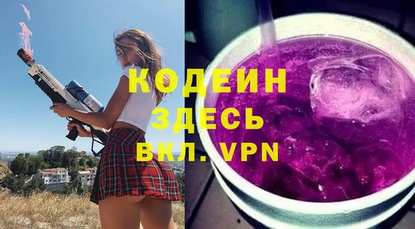 таблы Бородино