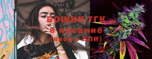 таблы Бородино