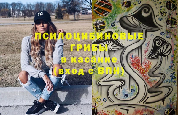 шишки Бронницы