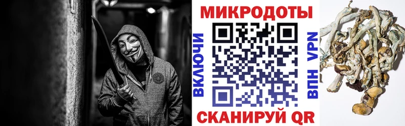 наркошоп  Семёнов  Псилоцибиновые грибы прущие грибы 